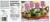 Little Debbie® Butterfly Creme Filled Cakes Perspective: back
