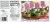 Little Debbie® Butterfly Creme Filled Cakes Perspective: back
