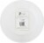 Caspari Color Wheel Paper Plates Perspective: back