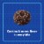 Tastykake Scoop Shop Cookies and Creme Mini Donuts Crunch Topped Chocolate Donuts Perspective: back