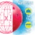 Franklin® Pickleball Perspective: back