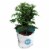 Pro-Mix HP Mycorrhizae Growing Medium Potting Soil, Open Top Grow Bag, 1 CF Perspective: back