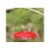 Aspects Hummzinger Excel Capacity Hummingbird Feeder (16 oz) Perspective: back