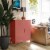 SystemBuild Bonanza 2 Door Metal Locker Storage Cabinet in Terracotta Perspective: back