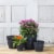 Novelty Dolce Round Planter - Black Perspective: back