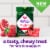vitafusion Daily Wellness Berry Fusion Multivitamin Soft Chews Perspective: back