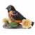 Jim Shore Bold & Beautiful Polyresin Baltimore Oriole 6010281 Perspective: back