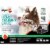 Aspen Pet 15-30 lb 1- Door Home Training Crate Perspective: back