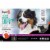Aspen Pet Large Pet Training Crate Perspective: back