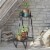 Wallflower Plant Stand, Black Perspective: back