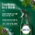 Febreze Air Effects Odor-Fighting Air Freshener Winter Spruce Aerosol Can Perspective: back
