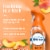 Febreze Air Freshener Odor-Fighting Room Spray Apple Mango Sunshine Scent Perspective: back