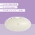 Native Lilac & White Tea Sensitive Whole Body Deodorant Perspective: back