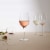 Libbey Signature Kentfield Estate All-Purpose Wine Glasses Set Perspective: back