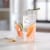 Libbey Lisbon Tumbler and Rocks Glass Set Perspective: back