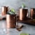 Libbey Moscow Mule Copper Mugs Set Perspective: back