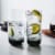 Libbey Polaris 16-Piece Tumbler and Rocks Glass Set, Smoke Perspective: back