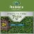Scotts® PatchMaster® Tall Fescue Lawn Repair Mix Perspective: back
