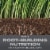 Scotts® Turf Builder® Pacific Northwest Mix Grass Seed Perspective: back