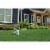Scotts® Turf Builder® Lawn Food Perspective: back