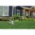 Scotts® Turf Builder® Lawn Food Perspective: back