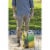 Scotts 23616 Step 2 Weed Control & Fertilizer Spring Cool Season Grass Perspective: back