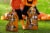 Jay Franco Peanuts Trick or Treat Pillowcase Perspective: back
