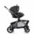 Evenflo Pivot Troop Child and Pet Modular Travel System Perspective: back