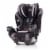 Evenflo EveryFit/All4One 3-in-1 Convertible Car Seat w/Quick Clean Cover Perspective: back