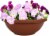 Myers-itml-akro Mils Clay Garden Bowls Perspective: back