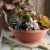 Akro-Mils Garden Bowl - Clay Perspective: back
