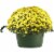 Akro Mils HSI1008B66 Euro Swirl Hanging Basket, Green, 10-Inch Perspective: back