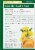 Traditional Medicinals® Organic Dandelion Leaf & Root Tea Bags Perspective: back