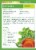 Traditional Medicinals® Organic Peppermint Green Tea Bags Perspective: back