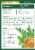 Traditional Medicinals® Organic Moringa With Spearmint and Sage Tea Bags Perspective: back