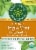 Traditional Medicinals Organic Peppermint Delight Probiotic Tea Perspective: back