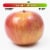 McIntosh Apples - 3 Pound Bag Perspective: back