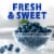 Fresh Blueberries - 1 LB Clamshell Perspective: back