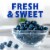 Fresh Blueberries - 2 LB Clamshell BIG DEAL! Perspective: back