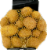 Nature's Way® Potatoes Yukon Gold Bag Perspective: back