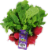 Organic Radishes Perspective: back