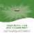 Nature's Way Horsetail Grass Capsules Perspective: back