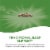 Nature's Way® Melissa Leaves Capsules 500mg Perspective: back