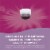 Nature's Way Sugar-Free Sambucus Syrup Perspective: back