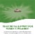 Nature's Way Red Clover Blossom & Herb Capsules Perspective: back