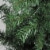 Northlight Set of 3 Slim Woodland Alpine Artificial Christmas Trees 5' - Unlit Perspective: back