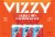 Vizzy Blueberry Pomegranate Hard Seltzer Perspective: back