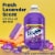 Fabuloso® Multi Purpose Liquid Cleaner - Lavender Perspective: back