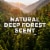 Tom's of Maine Long-Lasting Aluminum-Free Natural Deodorant for Men Deep Forest Perspective: back