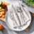 ZWILLING Opus 20-Piece 18/10 Stainless Steel Flatware Set, Silver Perspective: back